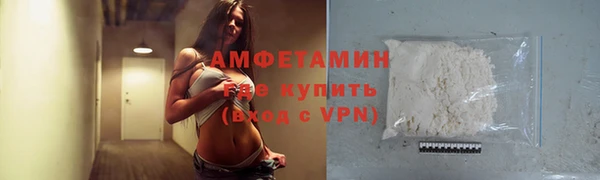 сатива Заволжье