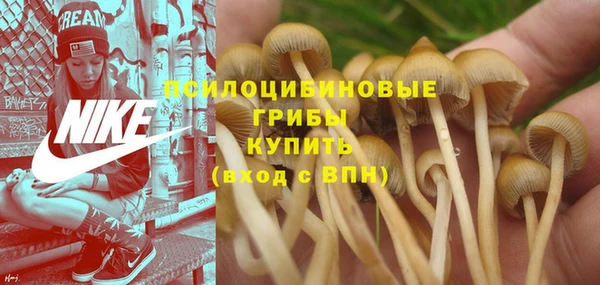 скорость Заводоуковск