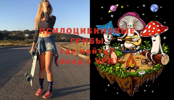 сатива Заволжье