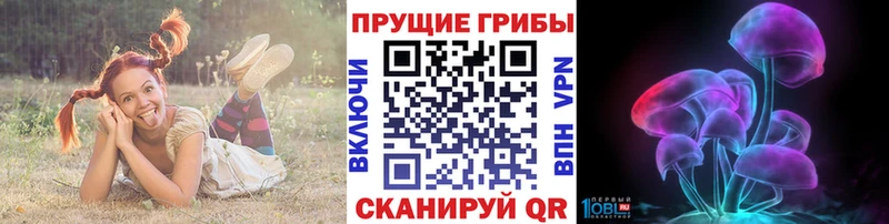 Псилоцибиновые грибы Cubensis  Купить  Воркута 